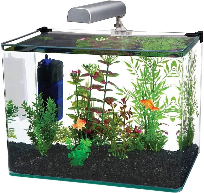 10 gallon best sale fish tank kit
