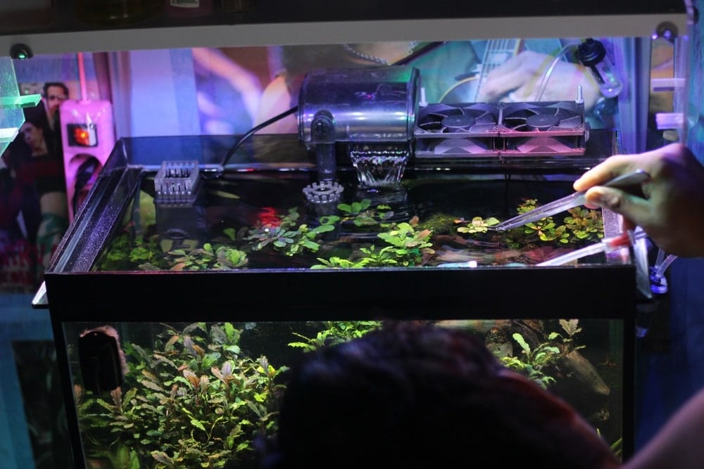 Aquarium cleaning fish tank