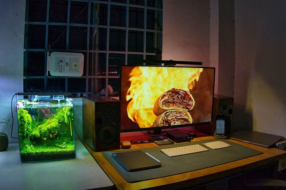 small aquarium beside workstation