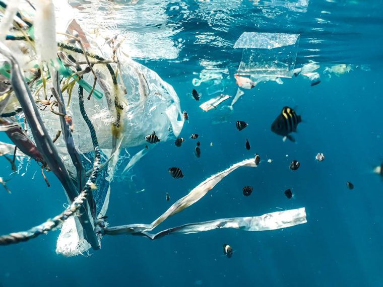 How Long Has Ocean Pollution Been A Problem Hepper