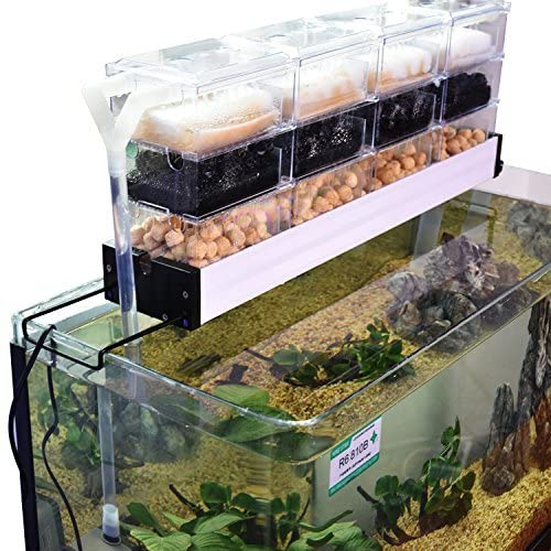 aquarium wet dry filter setup