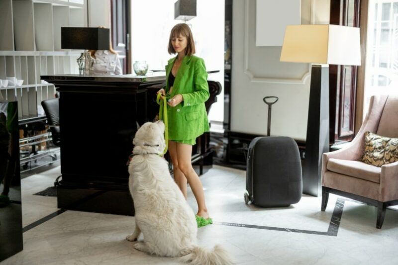 woman with her dog at the reception of hotel