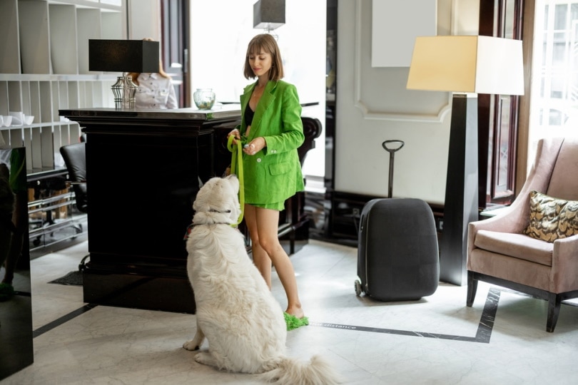 woman with her dog at the reception of hotel