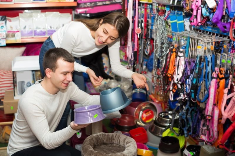 young couples choosing cat bowl in pet store