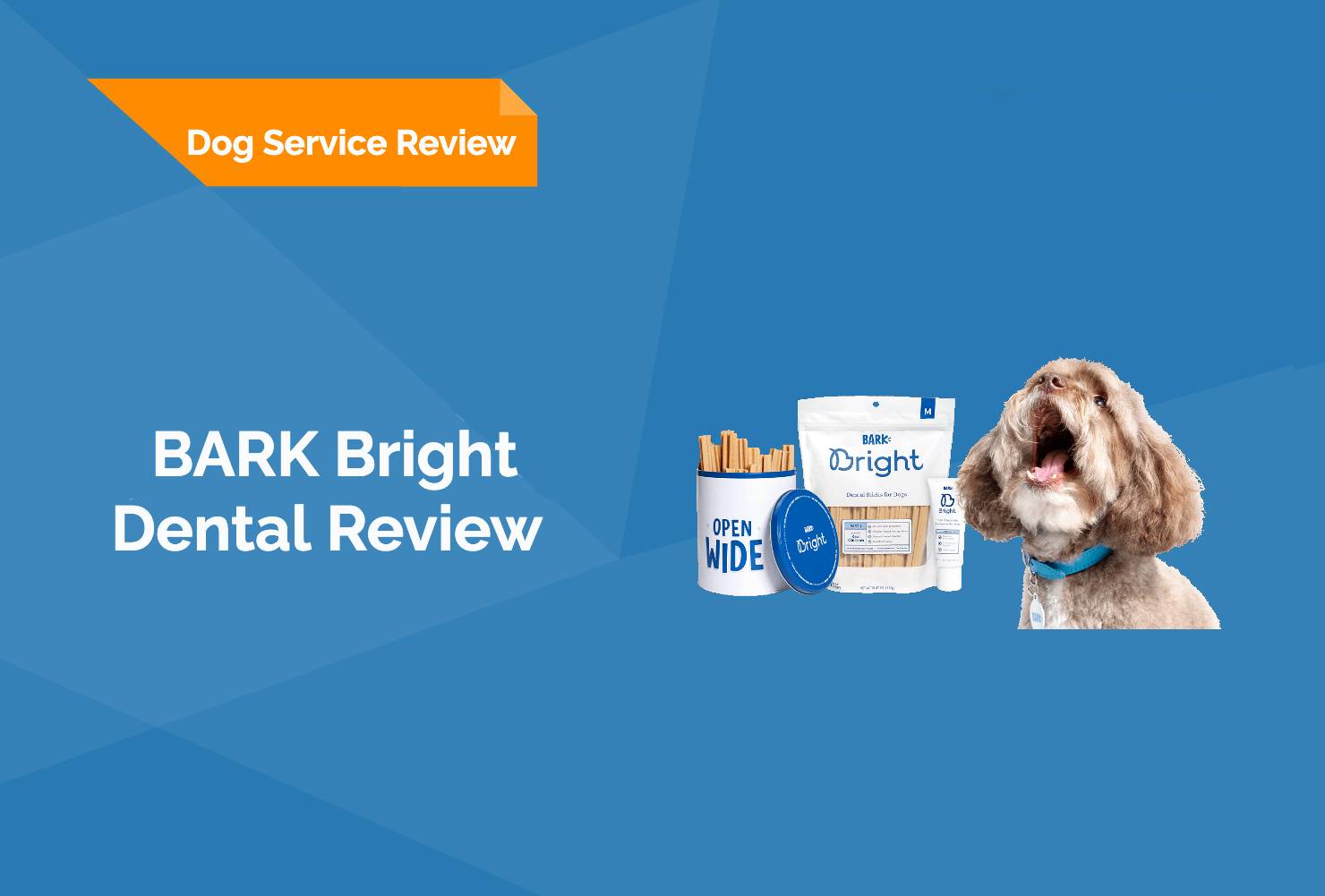 BARK Bright Dental Review Dog Product