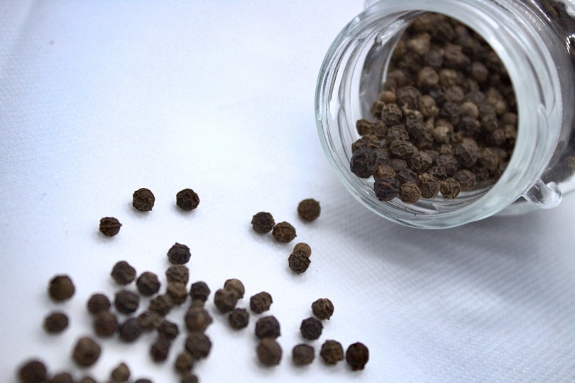 Black pepper from a bottle