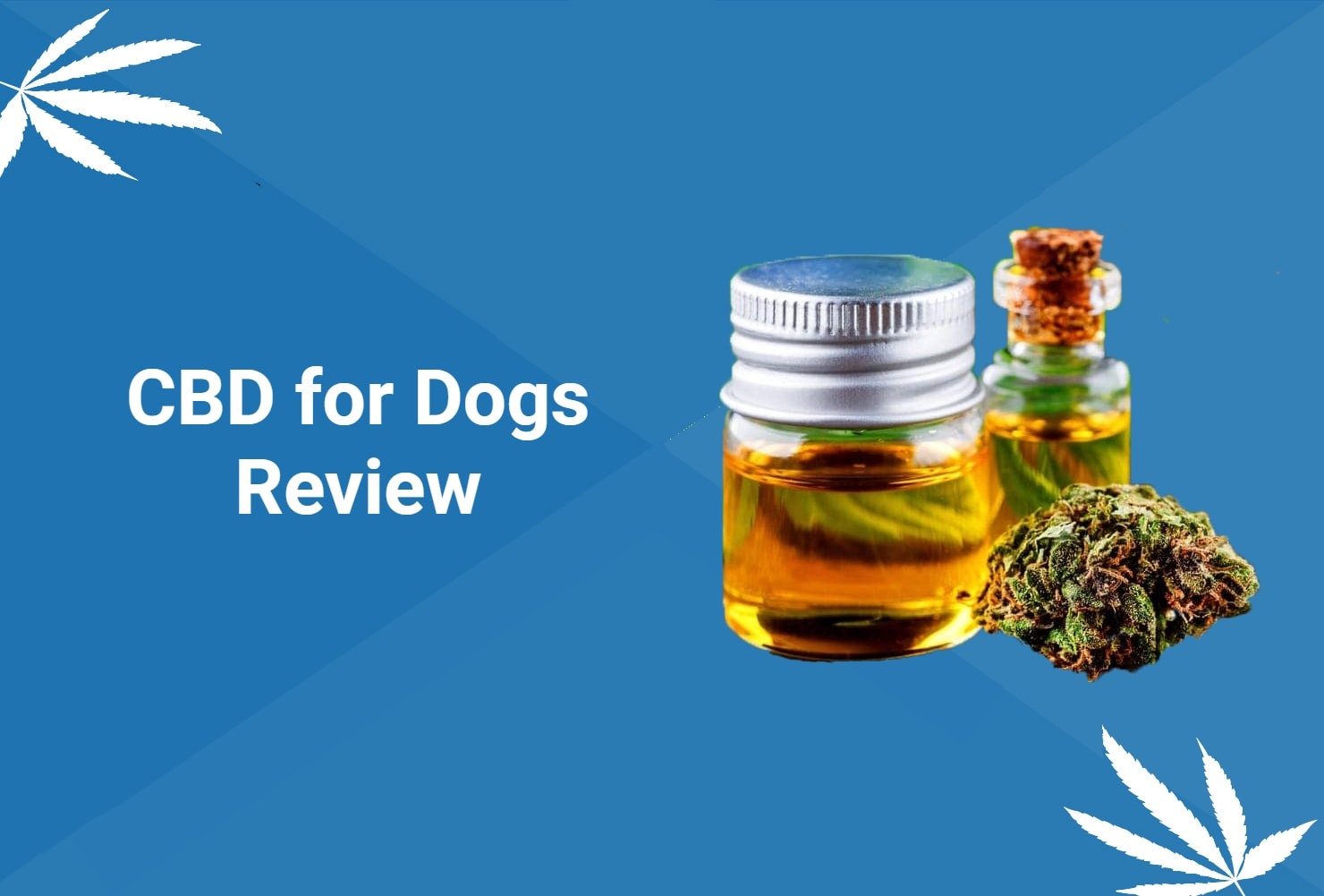 CBD for dogs review