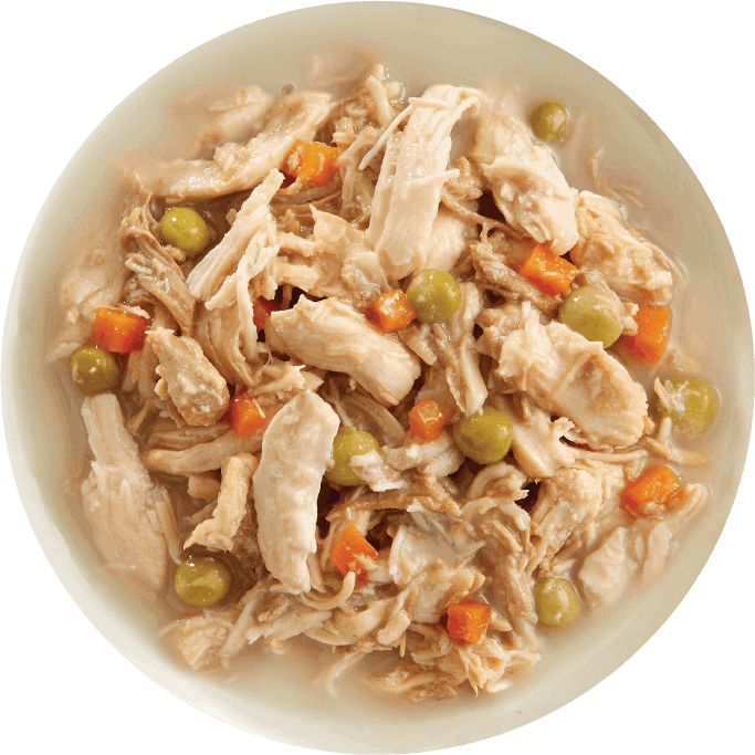 RAWZ Dog Food Review 2024 Recalls, Pros & Cons Hepper