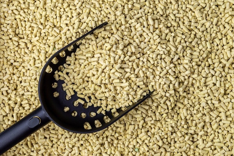 Corn Litter