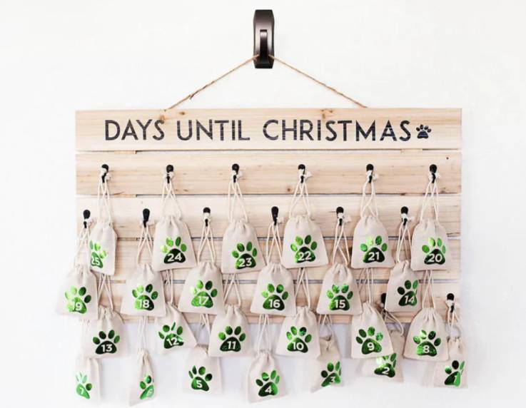 https://www.hepper.com/wp-content/uploads/2022/10/DIY-Dog-Advent-Calendar.jpg