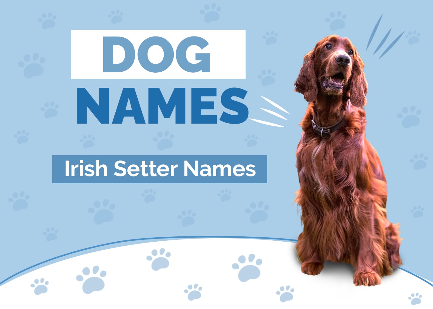 Names for Irish Setters