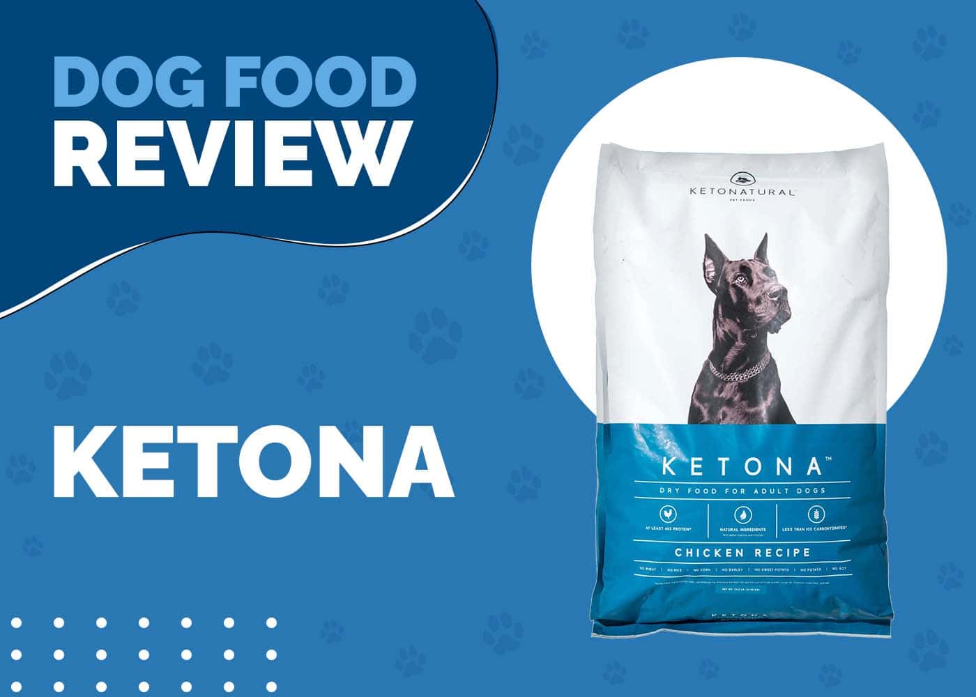 Ketona Dog Food Review