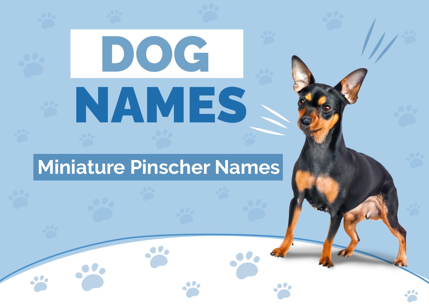 Names for Miniature Pinschers