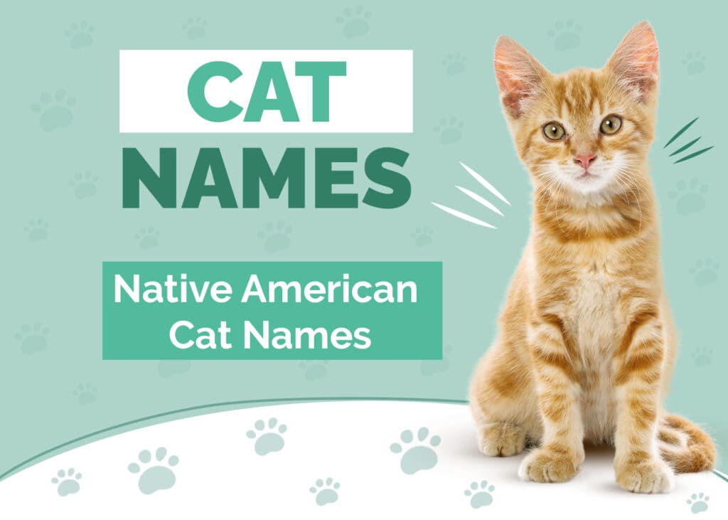 Native American Cat Names