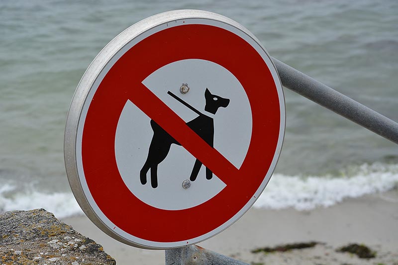 No Dog allowed Beach