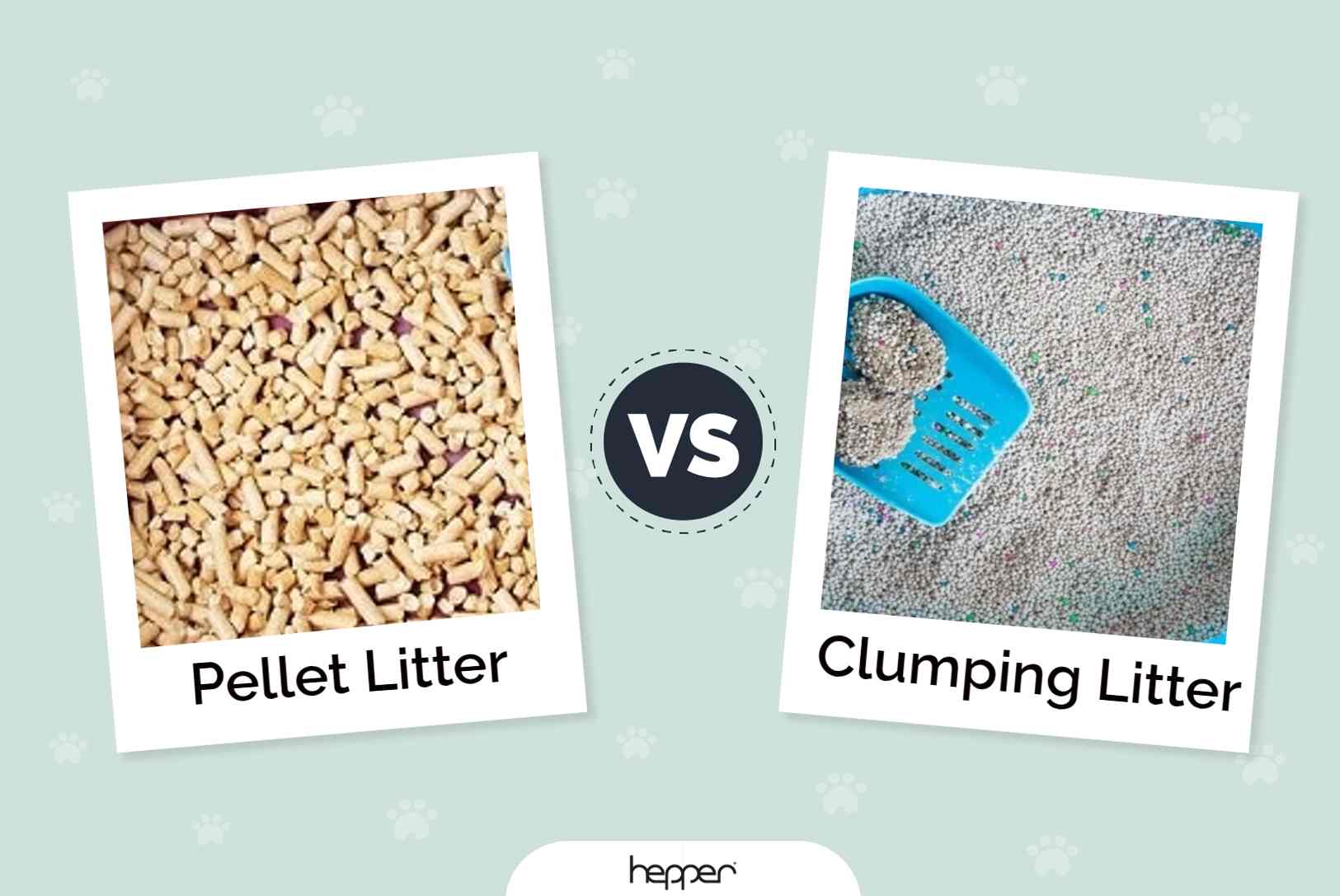 Pellet litter vs clumping litter