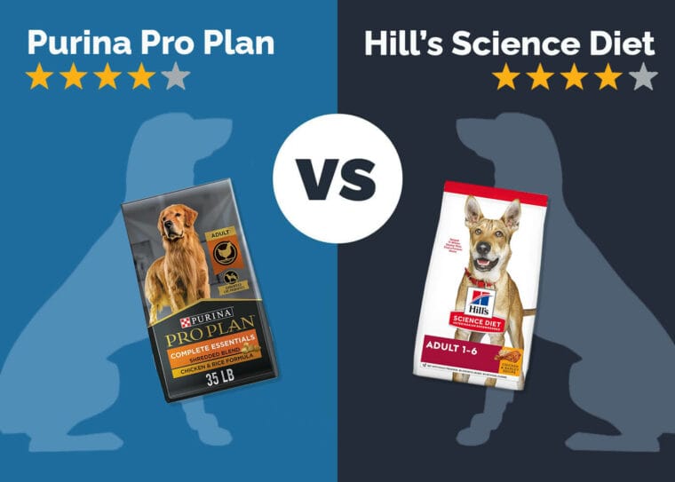 Purina Pro Plan vs Hill's Science Diet Dog Food Our 2024 Comparison Hepper