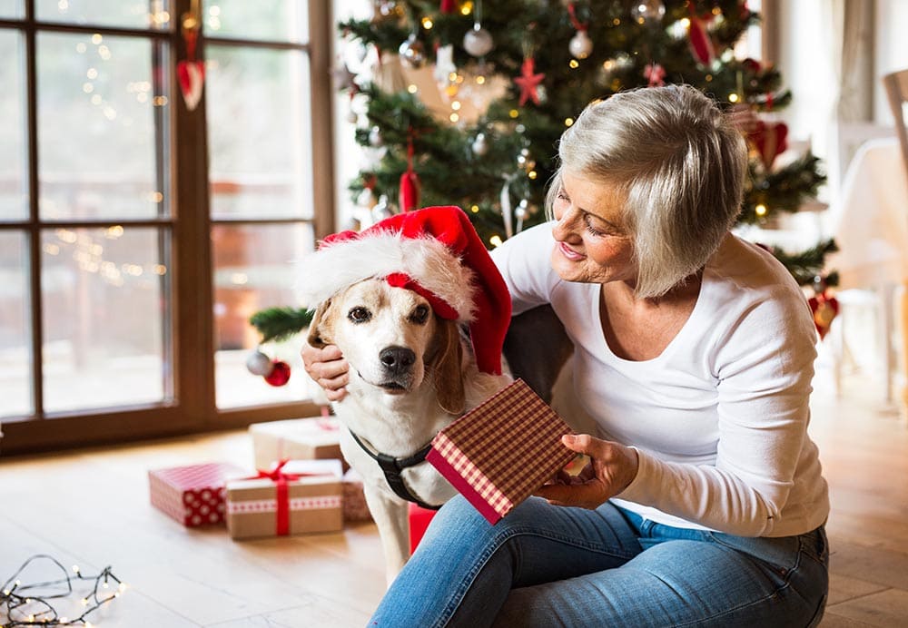 Senior woman with her dog opening Christmas presents