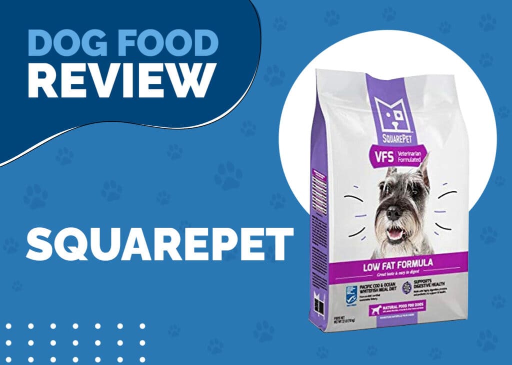 SquarePet Dog Food Review