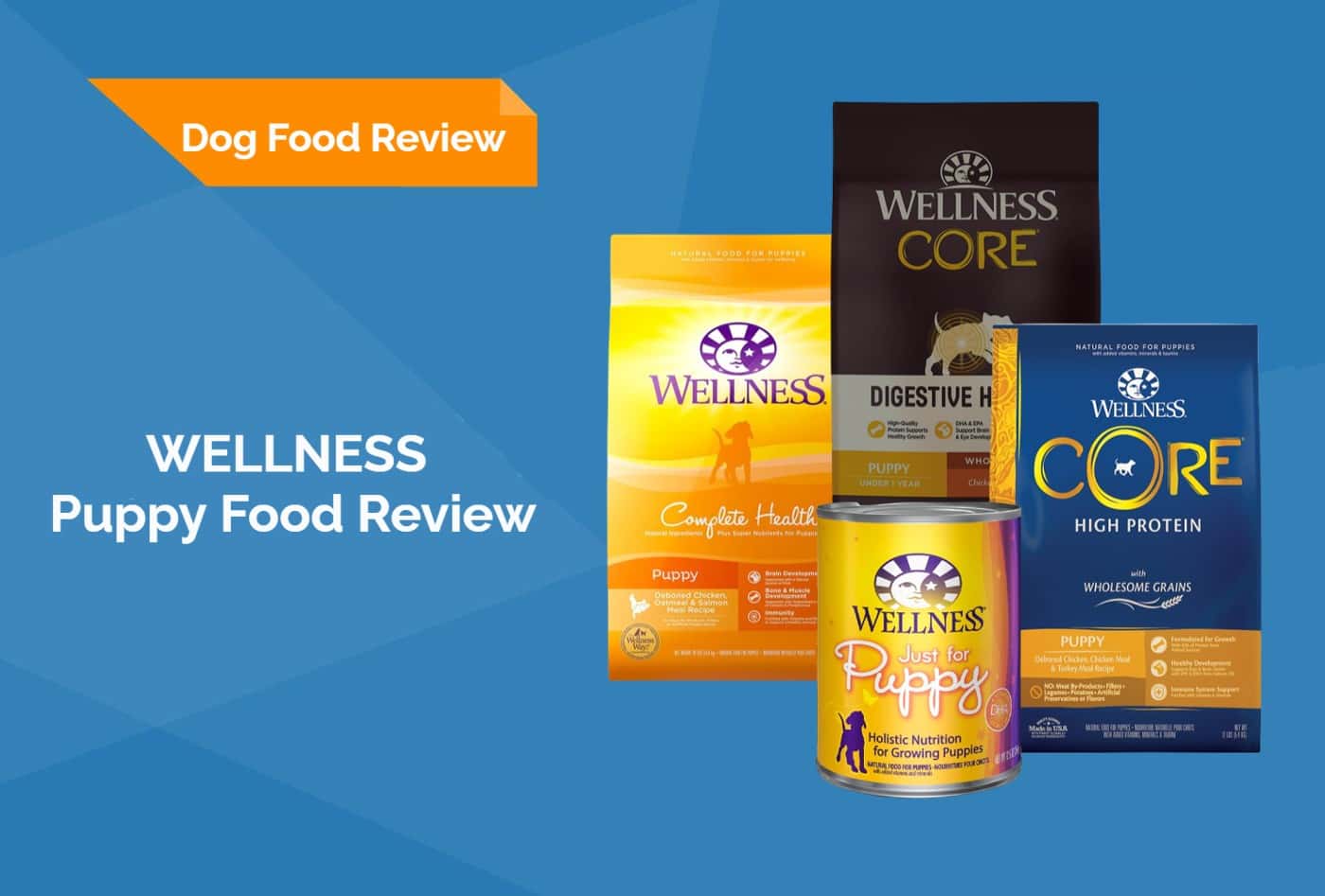 WELLNESS Puppy Food Review