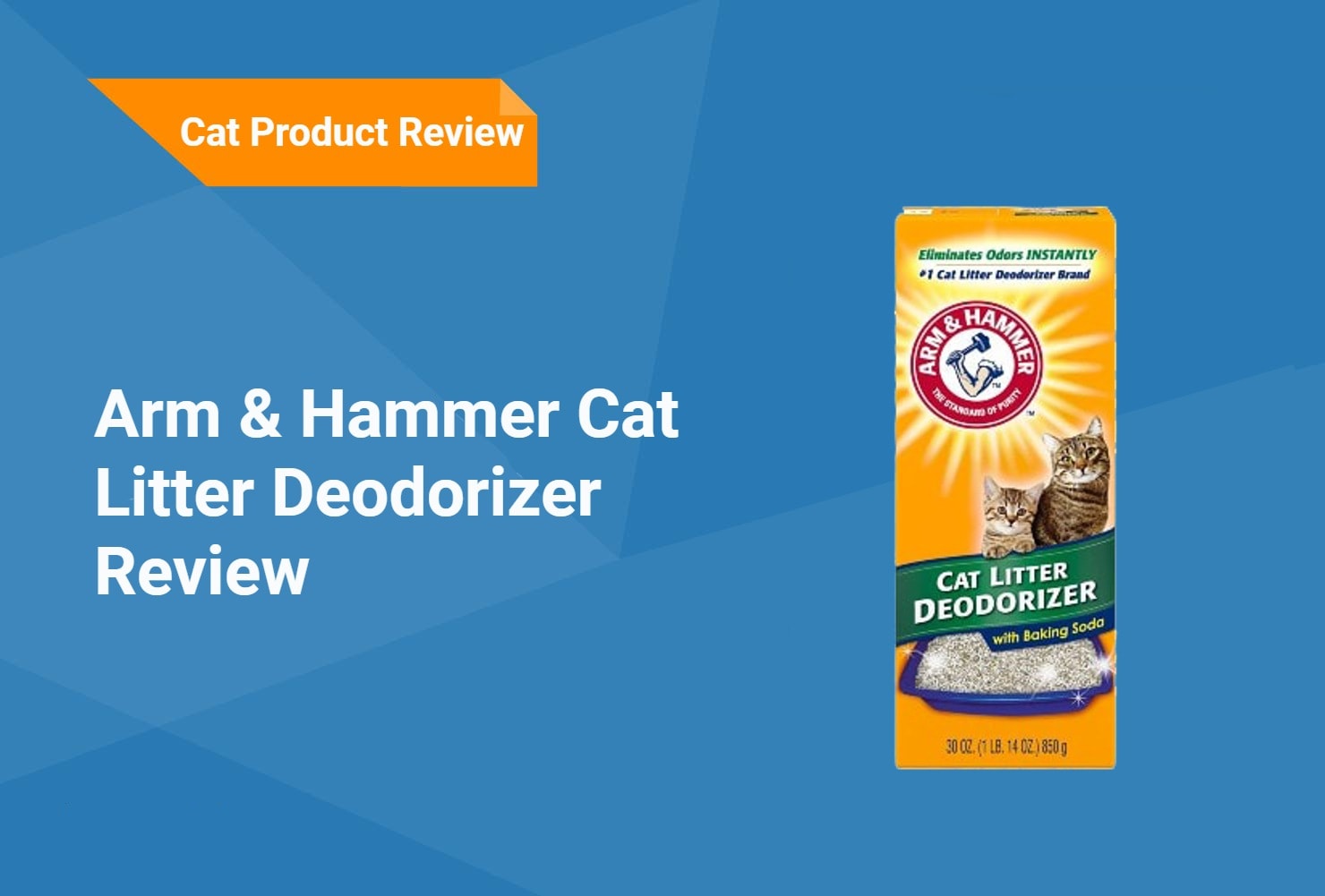 arm hammer cat litter Review(1)