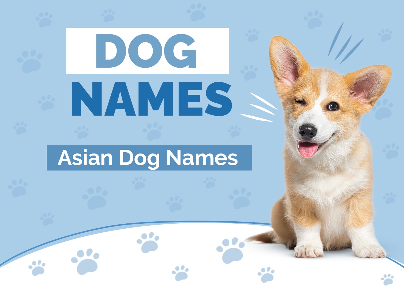 Asian Dog Names