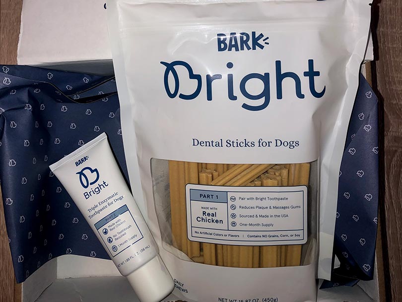 bark bright dental chews and triple-enzymatic toothpaste