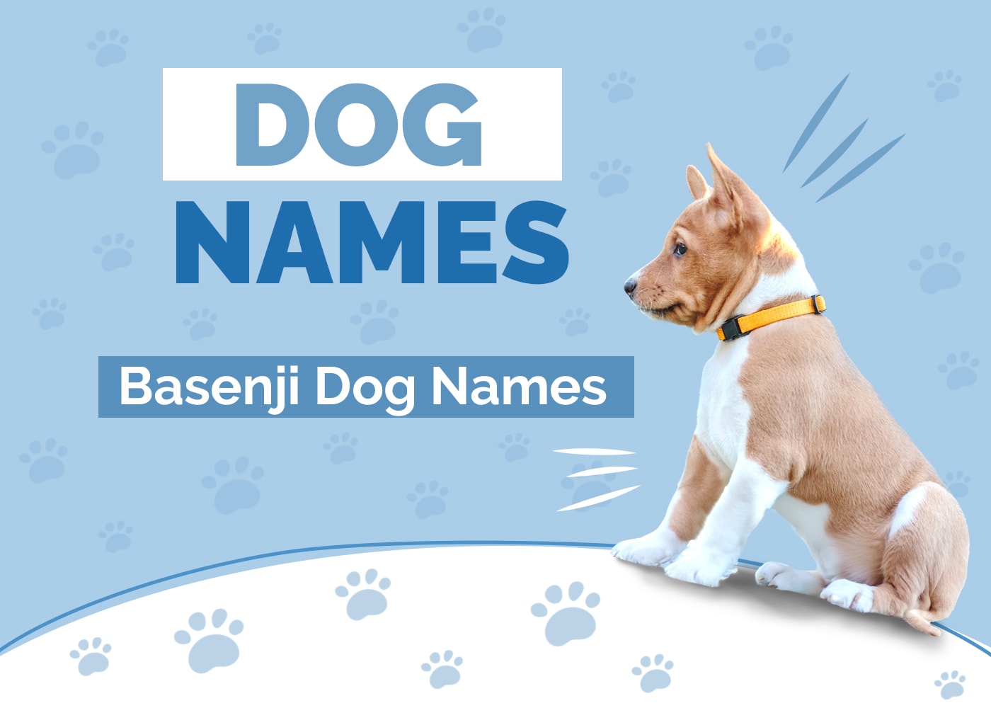 Amazing Names for Basenjis