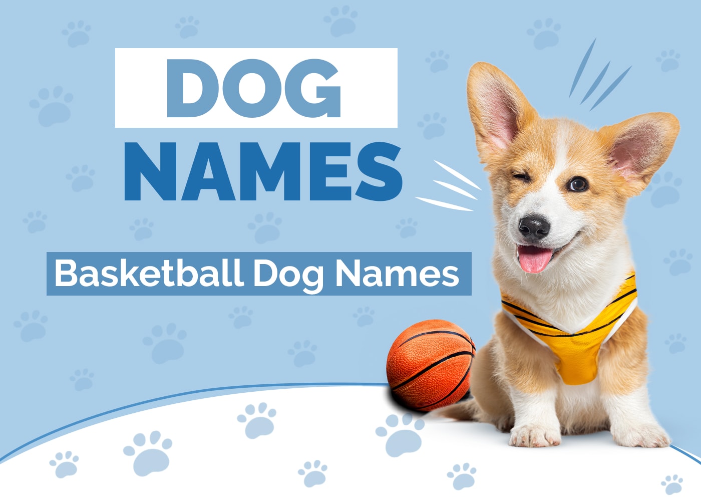 Basketball Dog Names