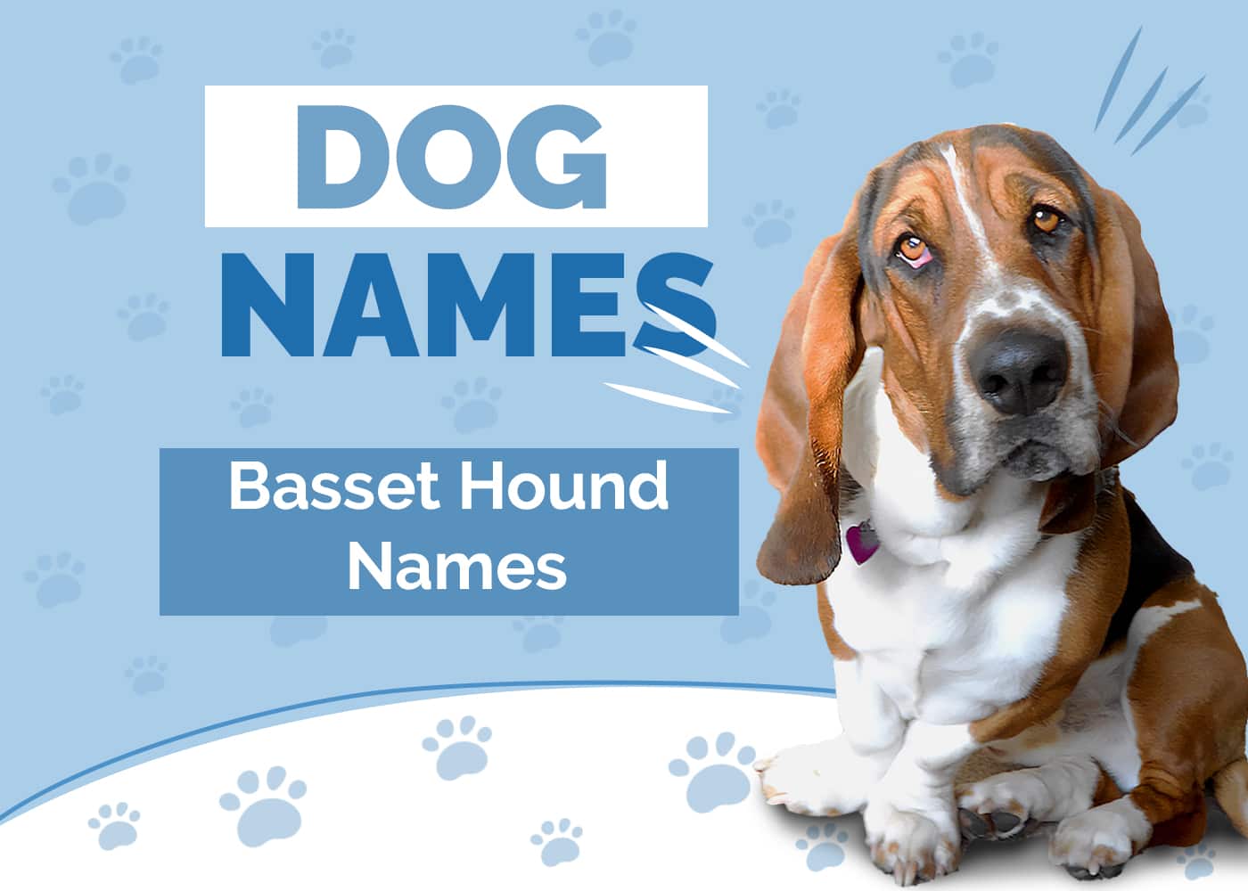 Names for Basset Hounds
