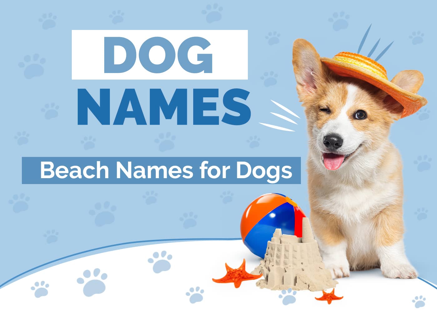 Beach Names for Dogs