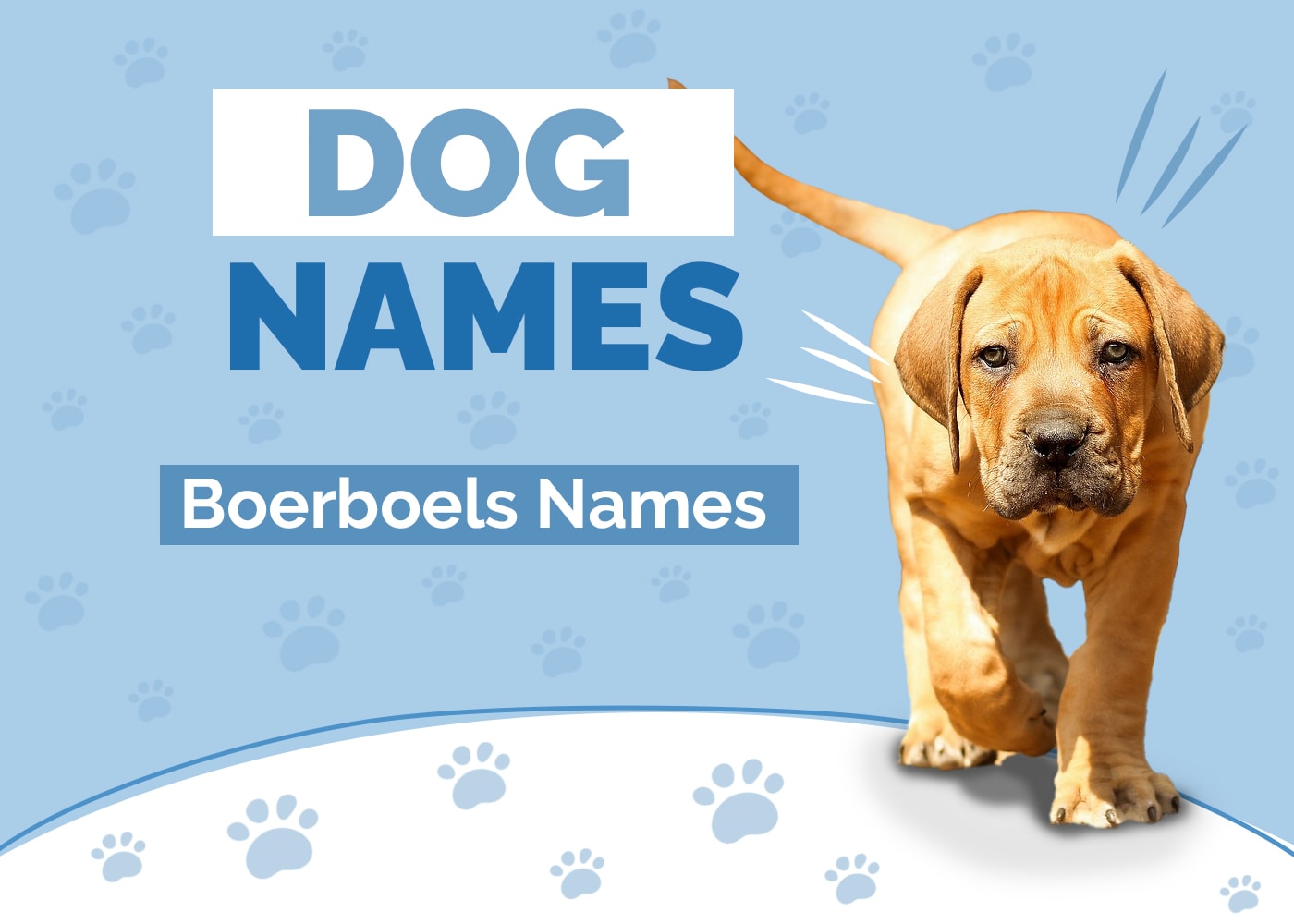 Names for Boerboels