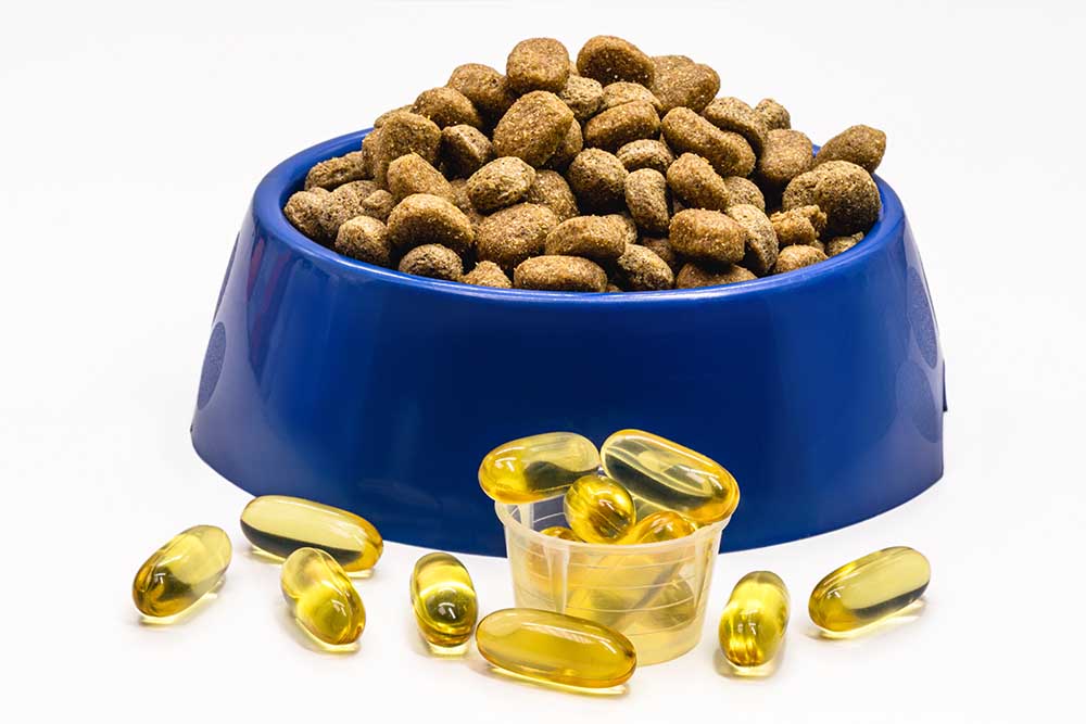 bowl of pet food with omega 3