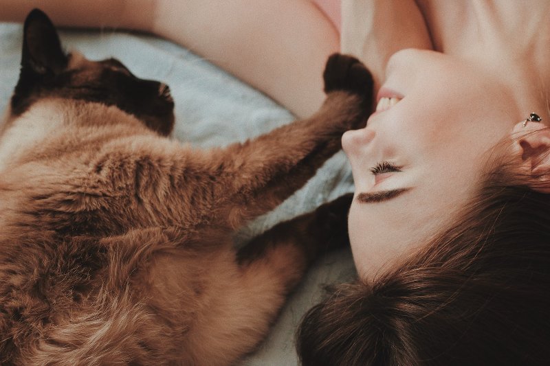 brown and black cat lying down on the bed with a woman