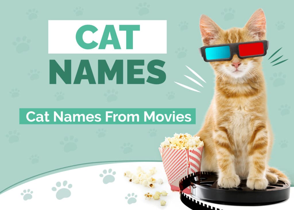 Cat Names from Movies