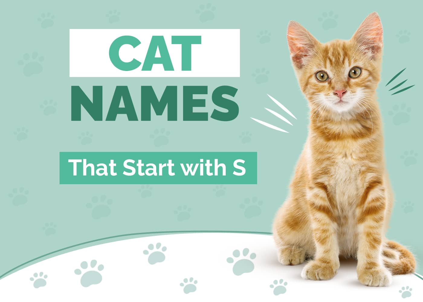 150+ Cat Names That Start with S for Your Special Kitty! Hepper