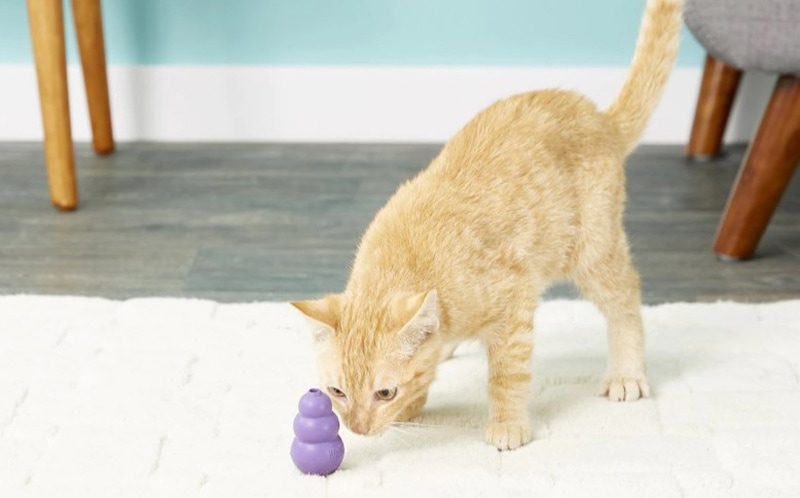 cat playing with KONG Kitty Cat Toy
