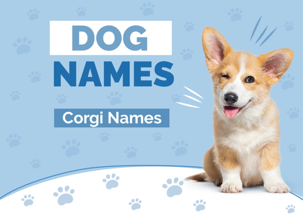 Names for Corgis