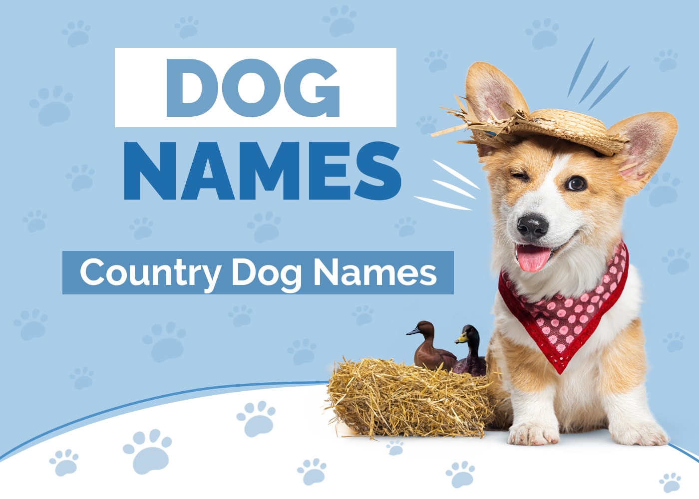 Country Dog Names