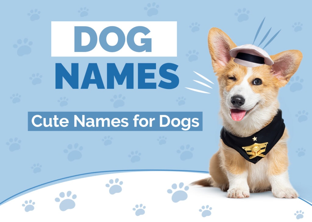 Cute Names for Dogs