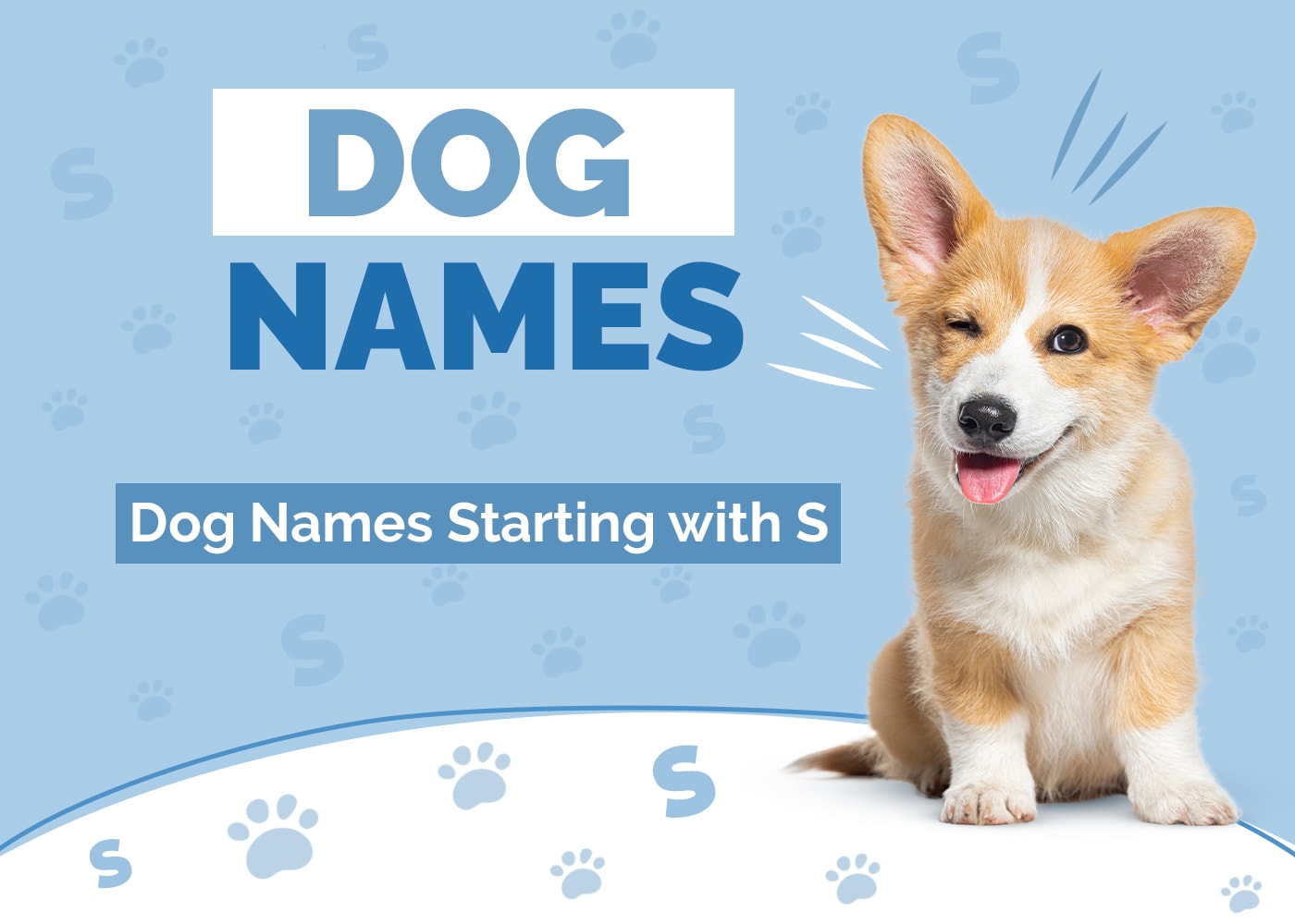 Dog Names Starting With S