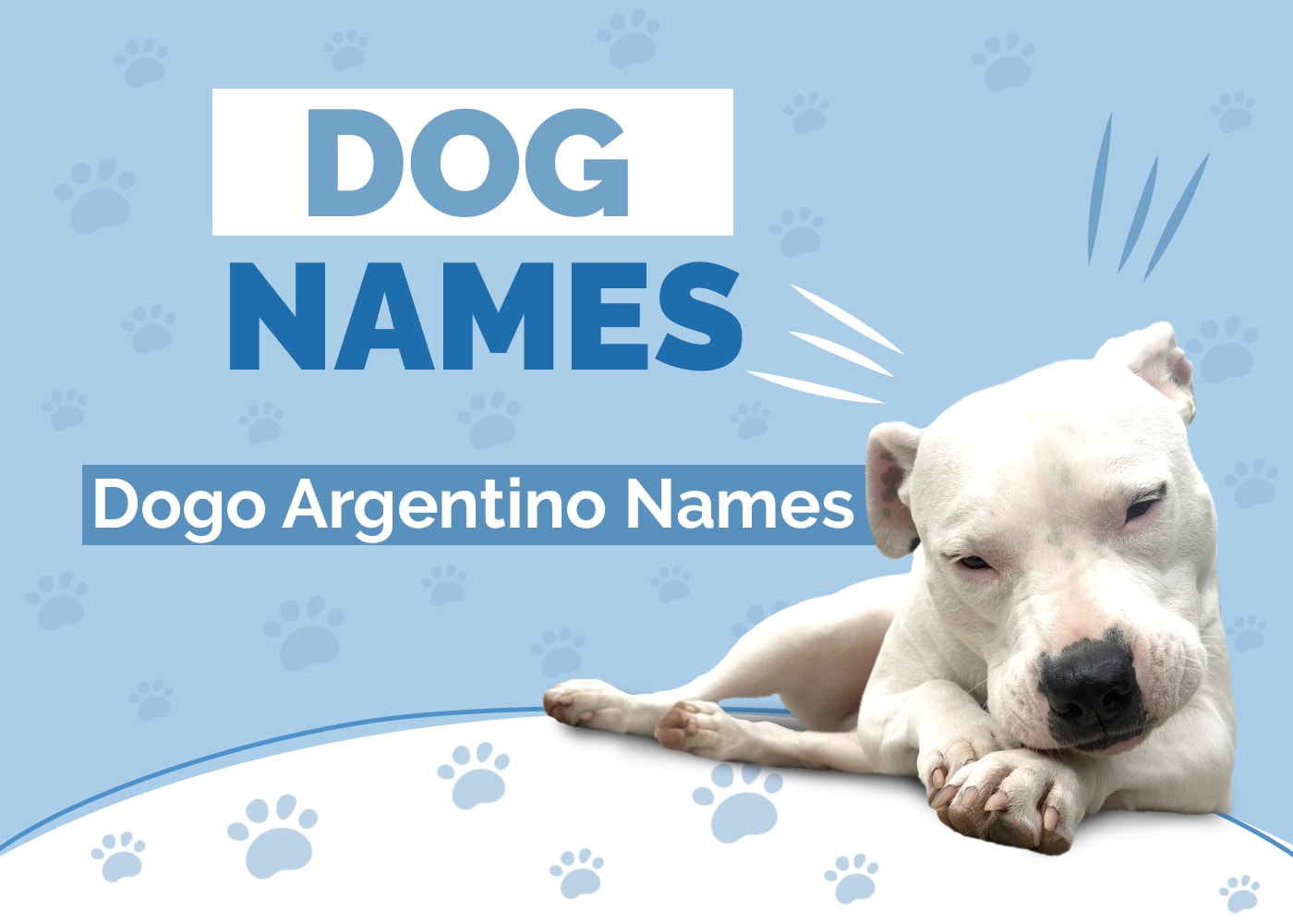 Great Names for Dogo Argentinos