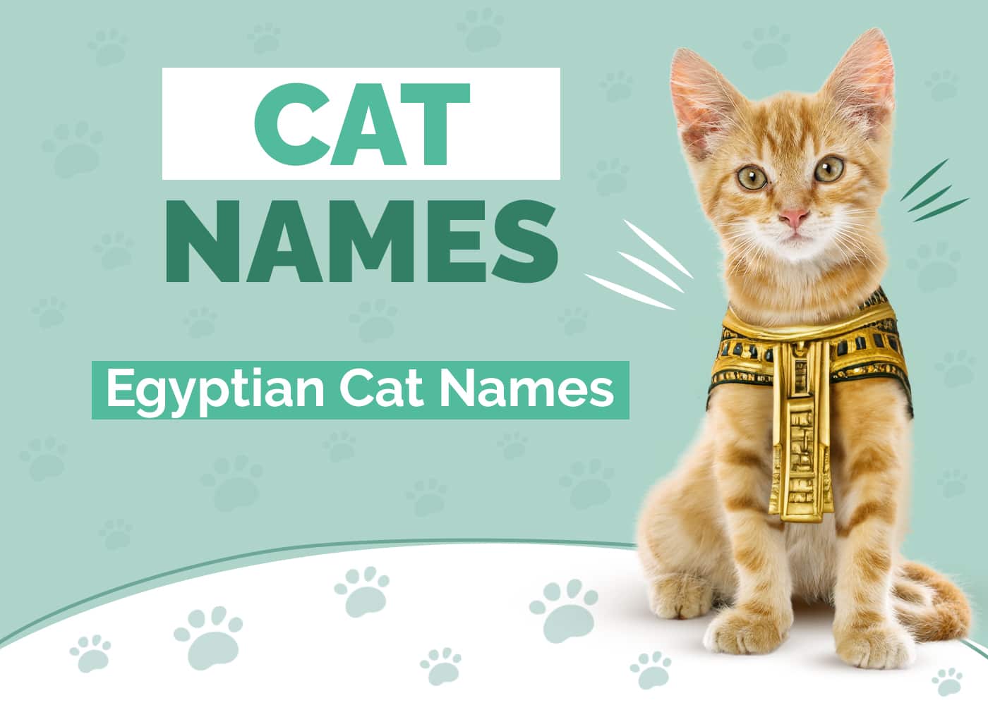 250+ Egyptian Cat Names: Our Top Picks for Your Cat (with Meanings