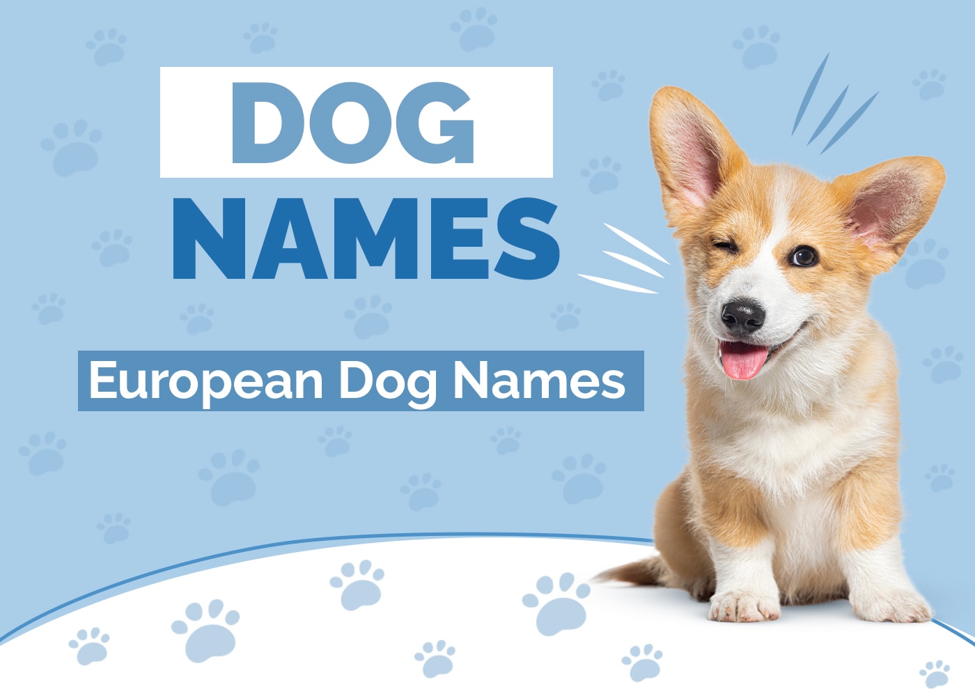European Dog Names
