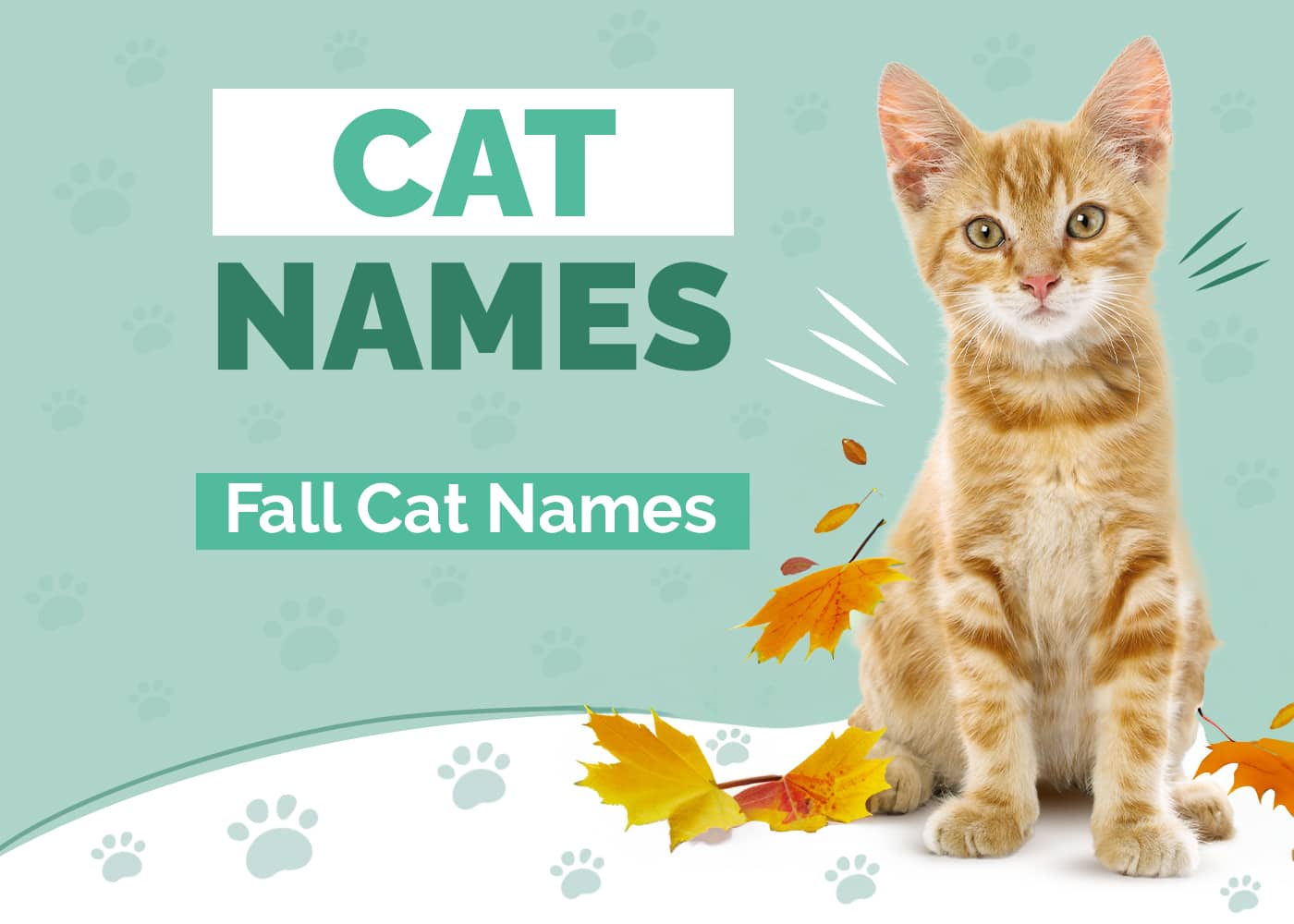 200 Fall Cat Names For Your Seasonal Kitty Hepper