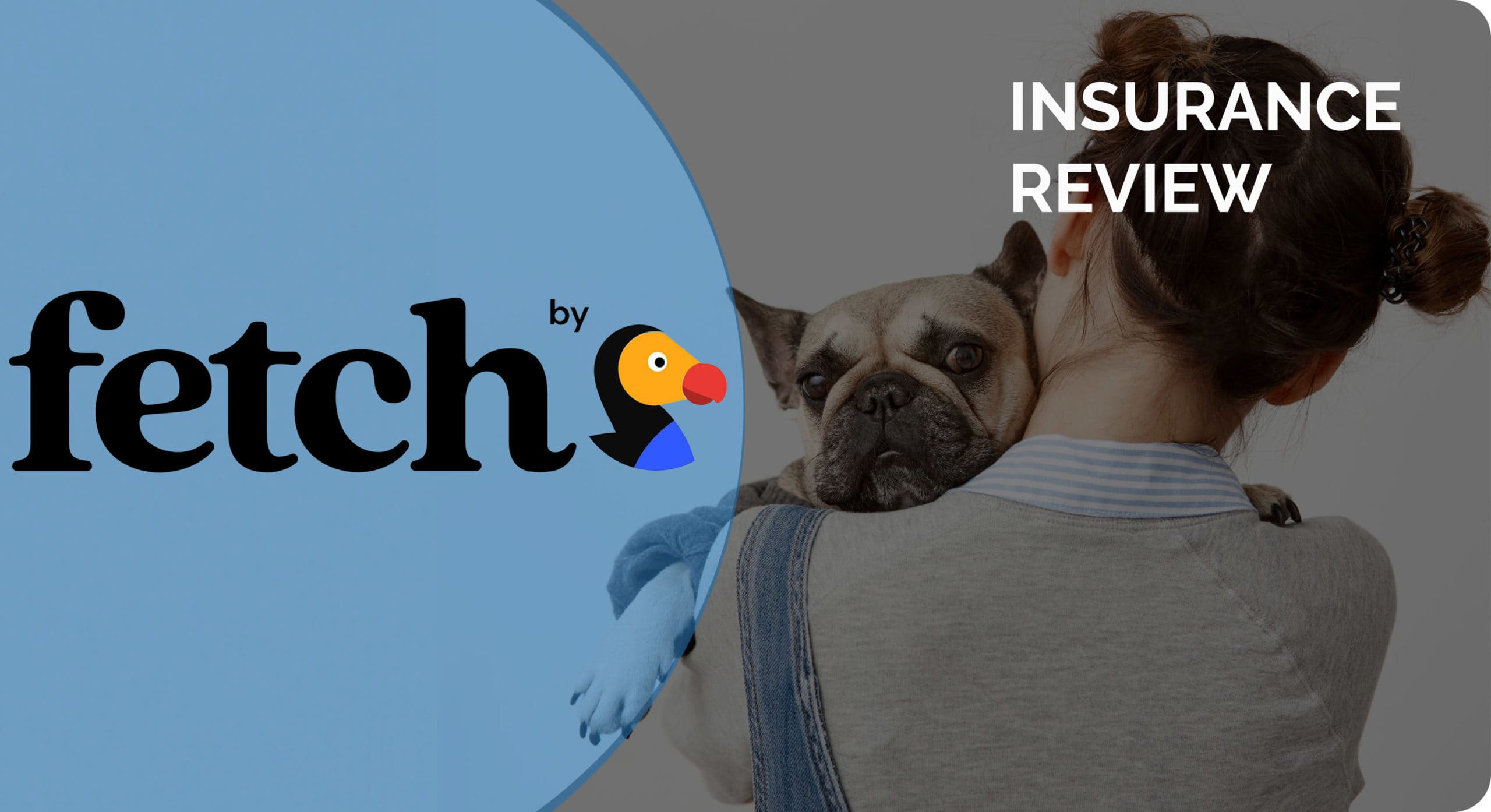 Fetch by The Dodo Pet Insurance Review 2024 Pros, Cons & Verdict Hepper