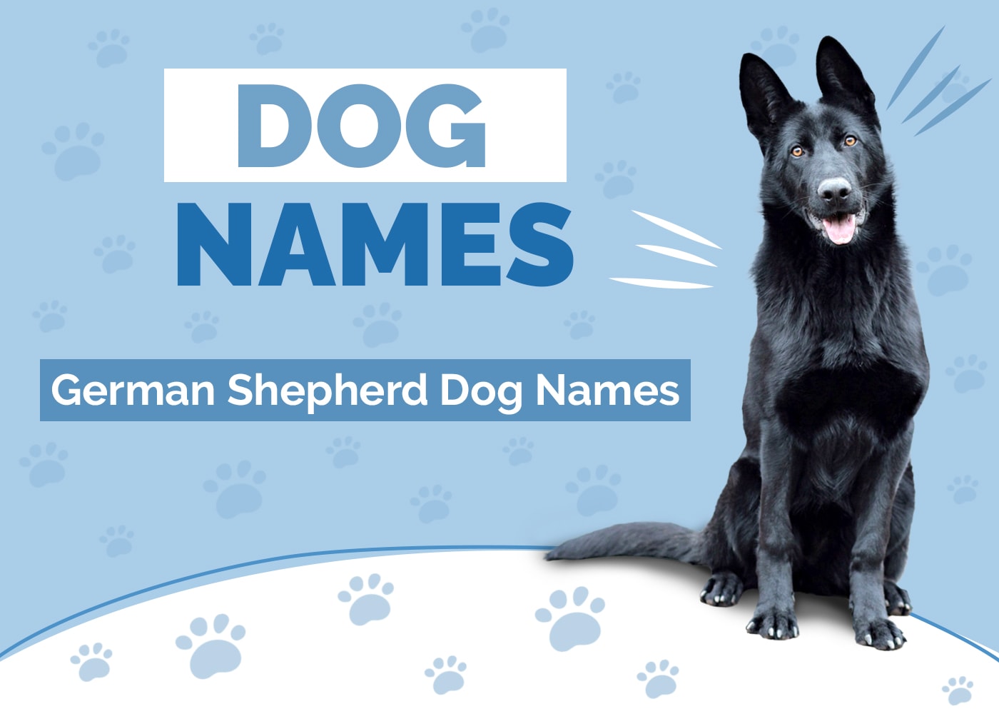 Names for German Shepherd Dogs