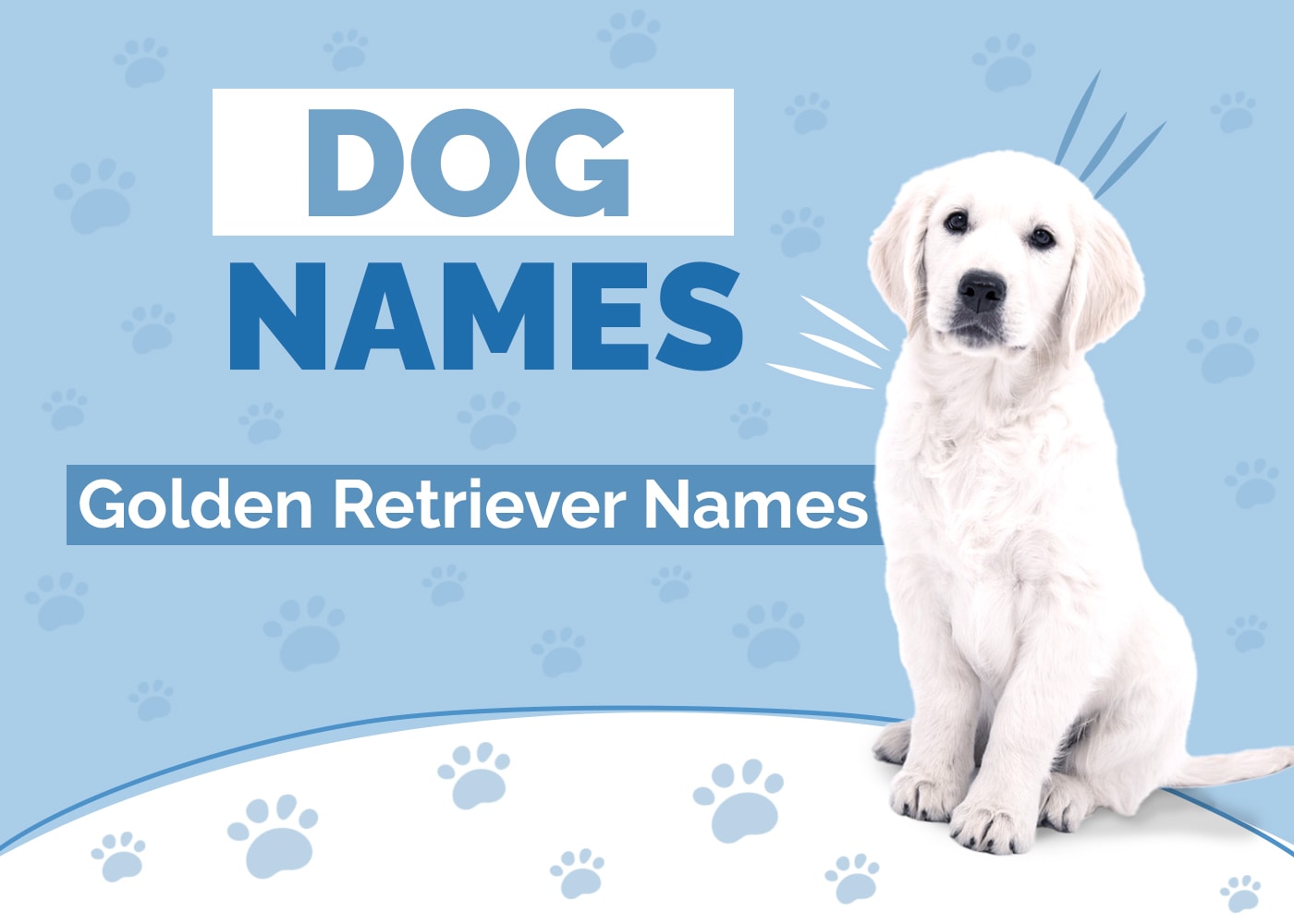 Golden Retriever Names