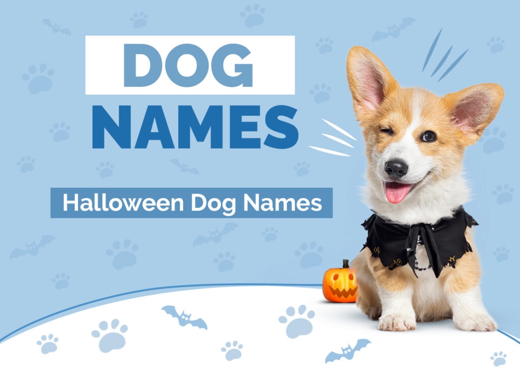 Halloween Dog Names