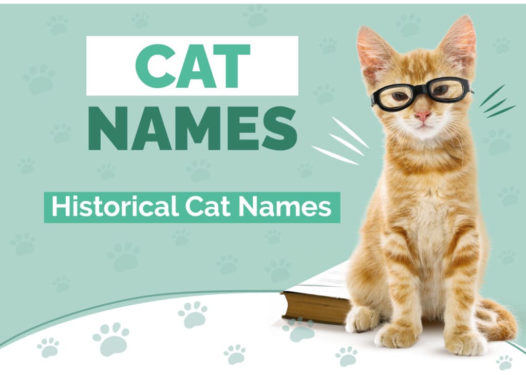 Historical Cat Names